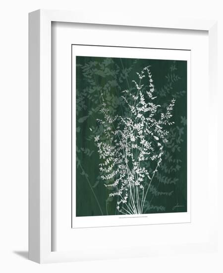 Jewel Ferns II-James Burghardt-Framed Art Print