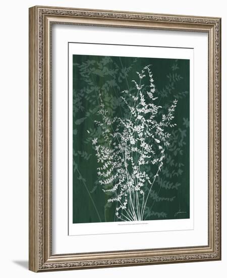 Jewel Ferns II-James Burghardt-Framed Art Print