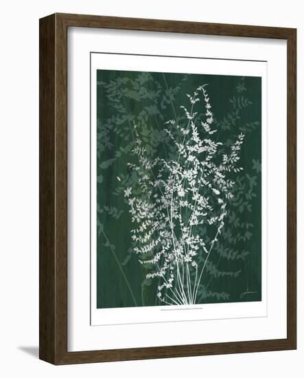 Jewel Ferns II-James Burghardt-Framed Art Print