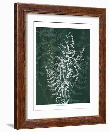 Jewel Ferns II-James Burghardt-Framed Art Print