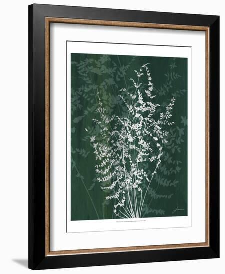 Jewel Ferns II-James Burghardt-Framed Art Print