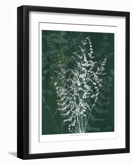 Jewel Ferns II-James Burghardt-Framed Art Print