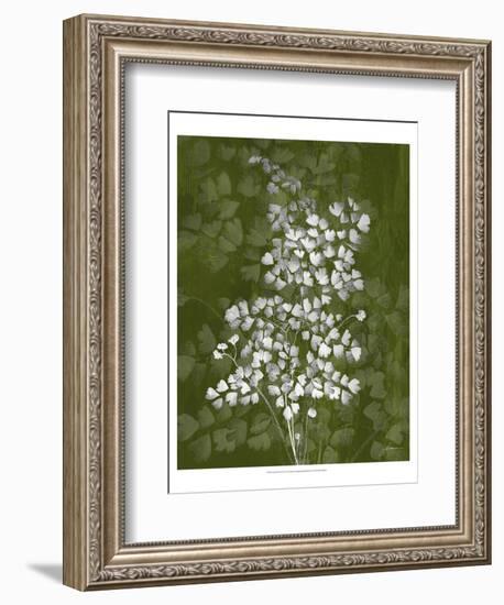 Jewel Ferns III-James Burghardt-Framed Art Print