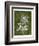 Jewel Ferns III-James Burghardt-Framed Art Print