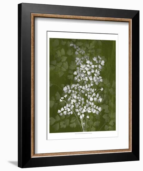 Jewel Ferns III-James Burghardt-Framed Art Print