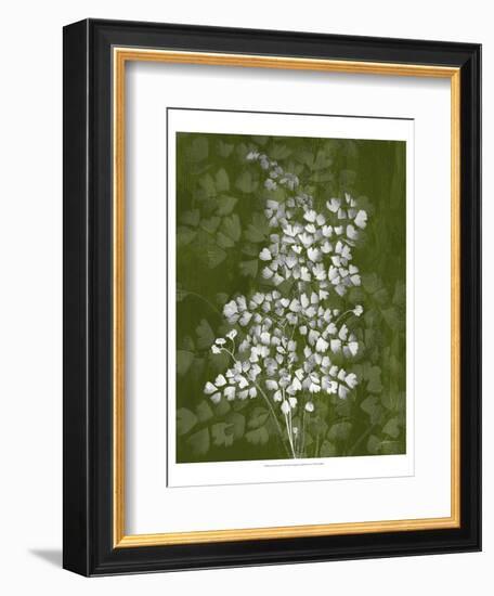 Jewel Ferns III-James Burghardt-Framed Art Print