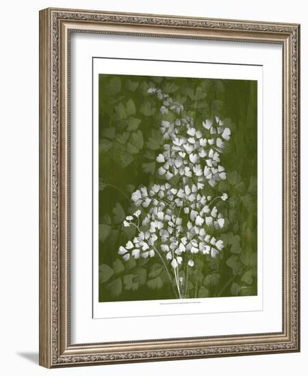 Jewel Ferns III-James Burghardt-Framed Art Print