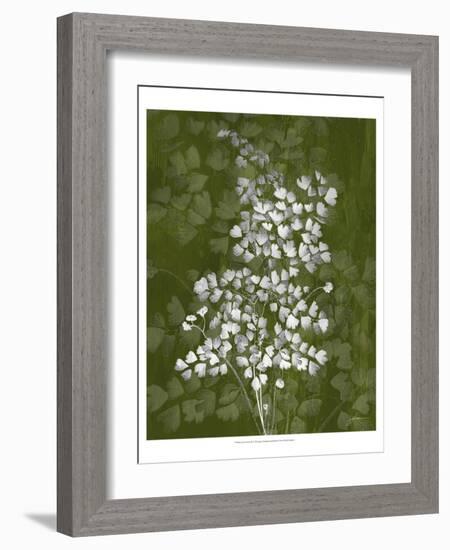 Jewel Ferns III-James Burghardt-Framed Art Print