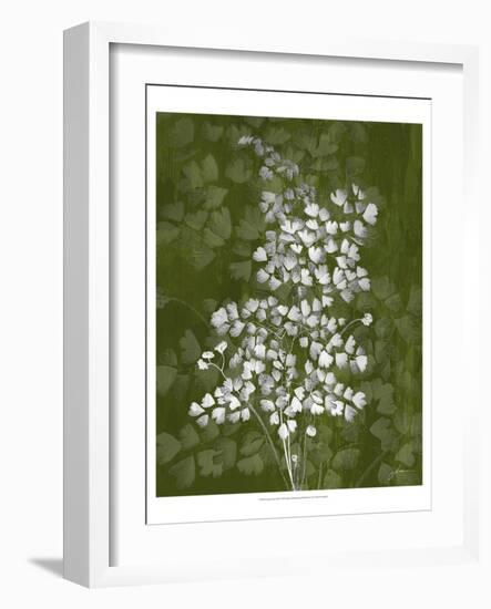 Jewel Ferns III-James Burghardt-Framed Art Print