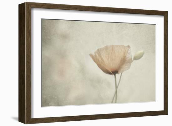 jewel of nature-Gilbert Claes-Framed Giclee Print