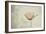 jewel of nature-Gilbert Claes-Framed Giclee Print