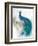 Jewel Plumes II-J.P. Prior-Framed Premium Giclee Print