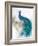 Jewel Plumes II-J.P. Prior-Framed Art Print