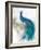 Jewel Plumes II-J.P. Prior-Framed Art Print