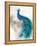 Jewel Plumes II-J.P. Prior-Framed Stretched Canvas