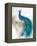 Jewel Plumes II-J.P. Prior-Framed Stretched Canvas