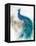 Jewel Plumes II-J.P. Prior-Framed Stretched Canvas