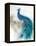 Jewel Plumes II-J.P. Prior-Framed Stretched Canvas