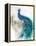 Jewel Plumes II-J.P. Prior-Framed Stretched Canvas