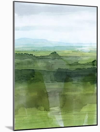 Jewel Tone Terrain I-Grace Popp-Mounted Art Print