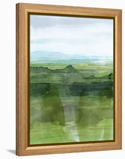 Jewel Tone Terrain I-Grace Popp-Framed Stretched Canvas