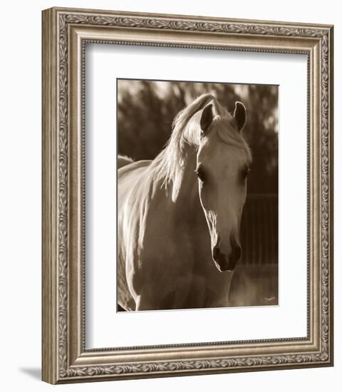 Jewel-Barry Hart-Framed Art Print