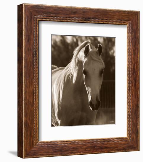 Jewel-Barry Hart-Framed Art Print