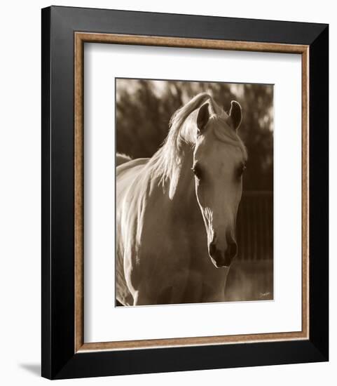 Jewel-Barry Hart-Framed Art Print