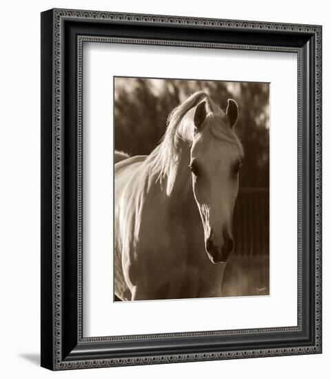 Jewel-Barry Hart-Framed Art Print