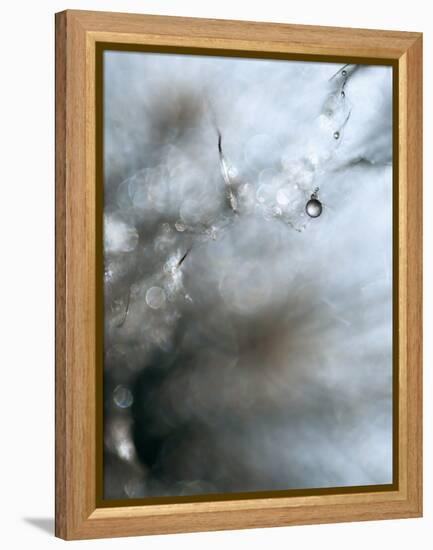 Jewel-Ursula Abresch-Framed Premier Image Canvas