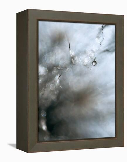 Jewel-Ursula Abresch-Framed Premier Image Canvas