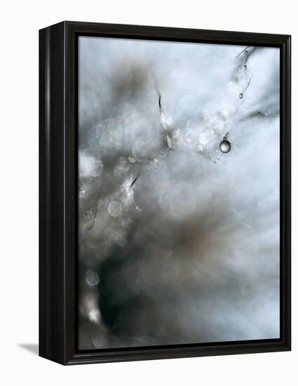 Jewel-Ursula Abresch-Framed Premier Image Canvas