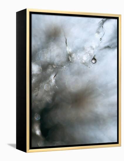 Jewel-Ursula Abresch-Framed Premier Image Canvas