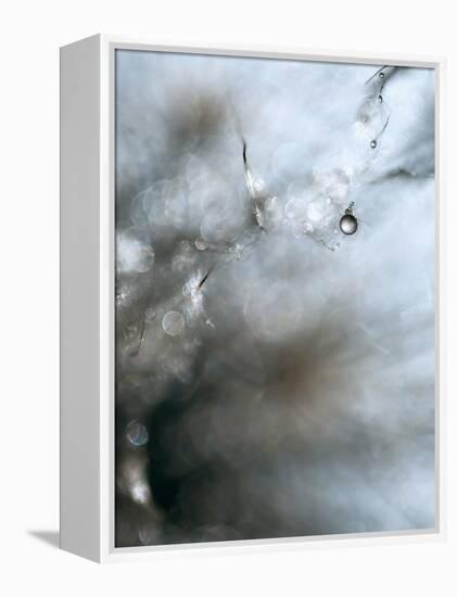 Jewel-Ursula Abresch-Framed Premier Image Canvas