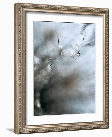 Jewel-Ursula Abresch-Framed Photographic Print