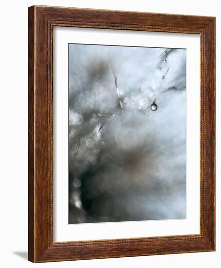 Jewel-Ursula Abresch-Framed Photographic Print