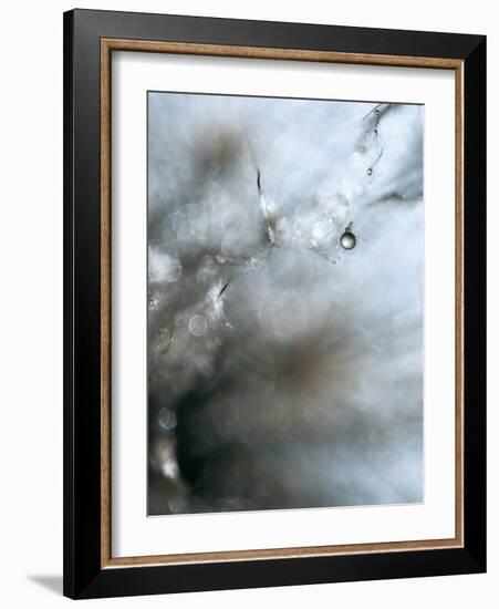 Jewel-Ursula Abresch-Framed Photographic Print