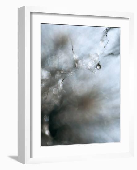 Jewel-Ursula Abresch-Framed Photographic Print