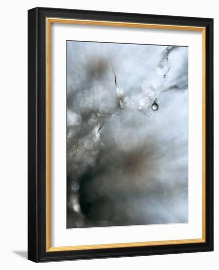 Jewel-Ursula Abresch-Framed Photographic Print