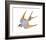 Jeweled Barn Swallow II-Jacob Green-Framed Art Print