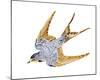Jeweled Barn Swallow II-Jacob Green-Mounted Premium Giclee Print
