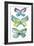 Jeweled Butterflies III-Chariklia Zarris-Framed Art Print