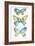 Jeweled Butterflies IV-Chariklia Zarris-Framed Art Print