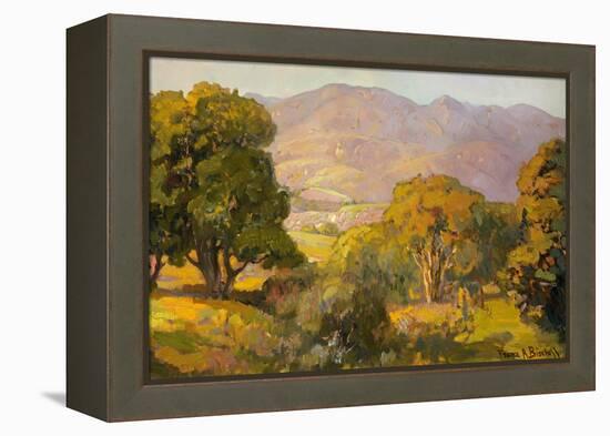 Jeweled Colored Hills-Franz Bischoff-Framed Stretched Canvas