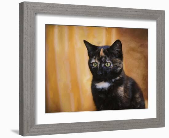 Jeweled Eyes Tortoiseshell Kitten-Jai Johnson-Framed Giclee Print