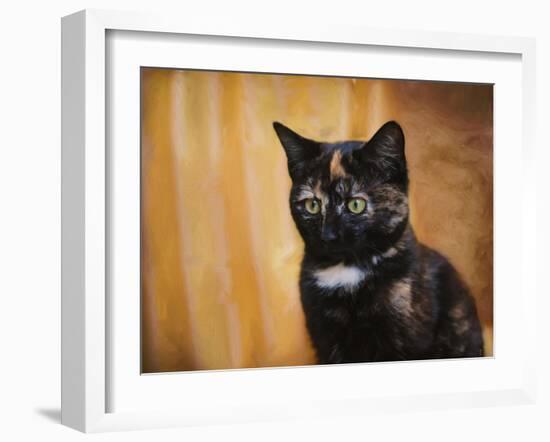 Jeweled Eyes Tortoiseshell Kitten-Jai Johnson-Framed Giclee Print