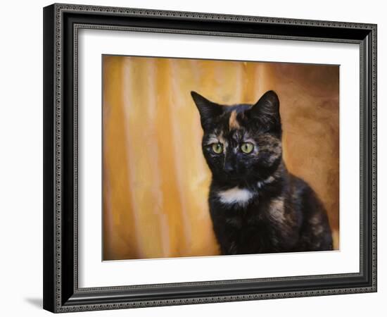 Jeweled Eyes Tortoiseshell Kitten-Jai Johnson-Framed Giclee Print