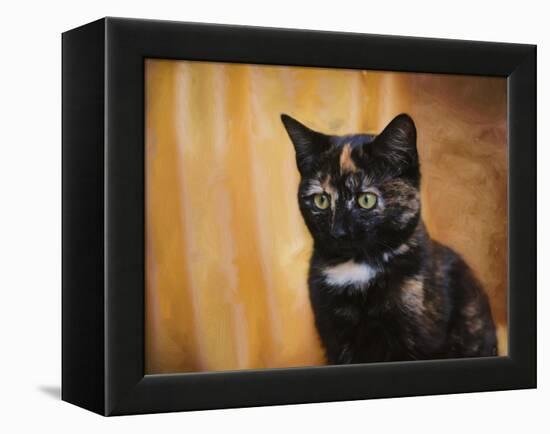 Jeweled Eyes Tortoiseshell Kitten-Jai Johnson-Framed Premier Image Canvas