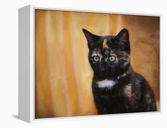 Jeweled Eyes Tortoiseshell Kitten-Jai Johnson-Framed Premier Image Canvas