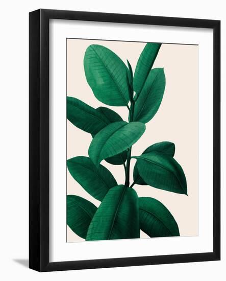 Jeweled Ficus I-Grace Popp-Framed Art Print